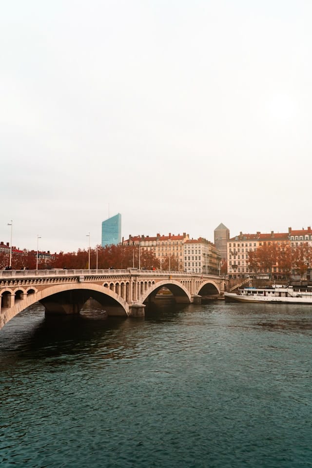 quelles entreprises concernees par cabinet conseil rgpd lyon vue de la ville